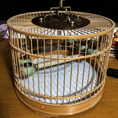100pcs bird cage liners - cage,