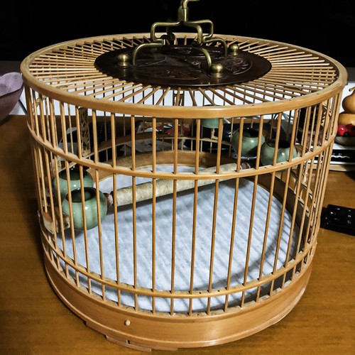 100pcs natural paper bird - paper, cage