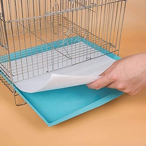 100 pack birdcage - pack,