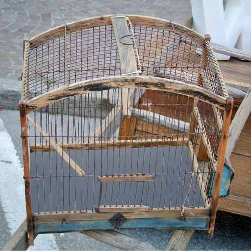 Blue durable bird - blue,